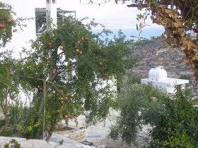 Aspro, Sophia's House, Villa in Crete, Almirida, Almyrida, Kreta