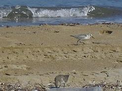Episkopi beach, Madaros, Rethimnon, Crete, Kreta