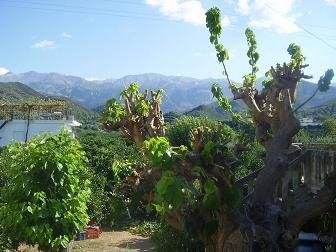 Founes, Crete, Kreta.