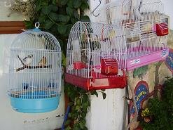 Houmeriakos, Houmeriako Crete, Kreta