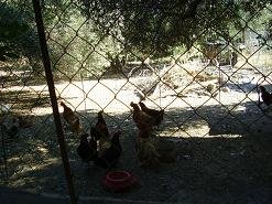 Houmeriakos, Houmeriako Crete, Kreta