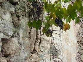 Kalami, Crete, Kreta