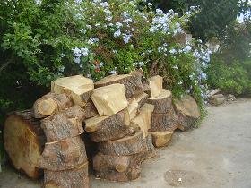 Kalamitsi, Apokoronas, Kreta, Crete