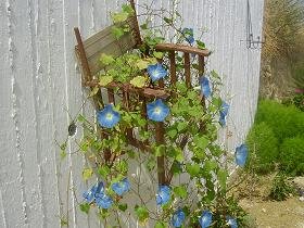 Ariana's Place, Kastelli Kissamos, Kreta, Crete