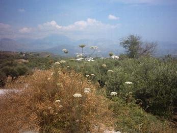 Kato Poulia, Crete, Kreta