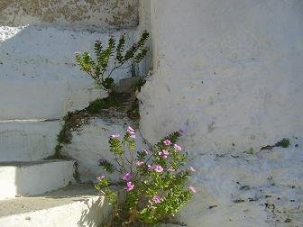 Komitades, Crete, Kreta.