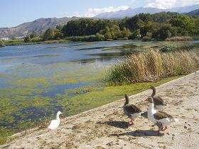Lake Agia, Lake Agias, Crete, Kreta.
