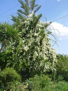 Maleme Beach, Crete.