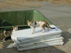 Milatos and Sisi beaches, Crete