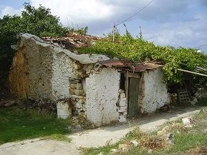 Rapaniana, Chania, Kreta, Crete