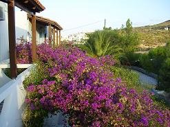 Spiros Soula Apartments, Ligaria Beach, Crete, Kreta