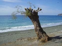 Kreta, Crete, Tertsa, Mirtos