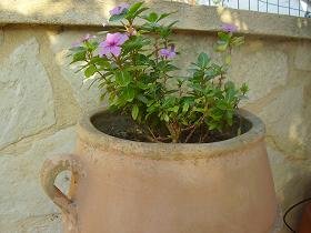 Villa Atlantis, Plaka, Almyrida Beach, Apokoronas, Kreta, Crete