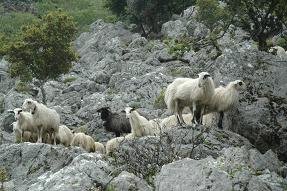 Deliana, Agios Ioannis Church, Kreta, Crete.