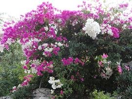 Papagiannades, Crete, Kreta