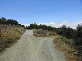 Farmakokefalo, Crete, Kreta