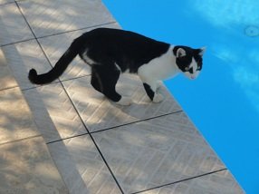 Villa Christina, Villa in Crete, Plaka, Almyrida, Kreta