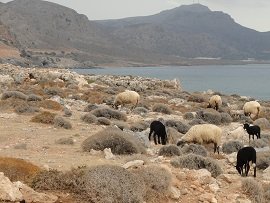 Moni Kapsa klooster, Kreta.