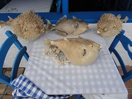 Makrigialos, Crete, Kreta