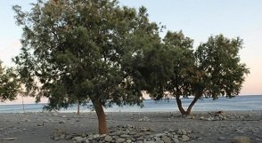 Sougia beach, Crete, Kreta.