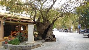 Fodele, Crete, Kreta