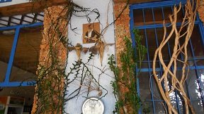 Afrata, Taverna Kali Kardia, Crete, Kreta.