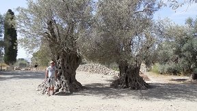 Gortyn, Gortys, Kreta, Crete