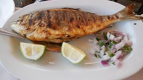 Fish Taverna Thalami Almyrida, Crete, Kreta