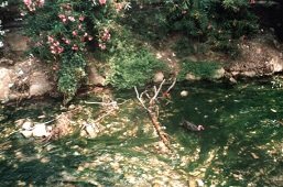 Fodele, Crete, Kreta