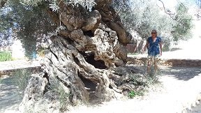 Vouves, Crete, Kreta