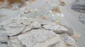 Keratokampos beach, Crete