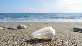 Arvi beach, Crete