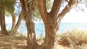 Arvi beach, Crete
