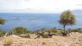 Pervolitsa, Crete, Kreta