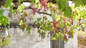 Mouzouras, Crete, Kreta