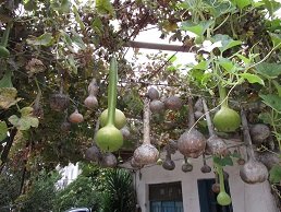 Makrigiani, Makrigiannis, Crete, Kreta