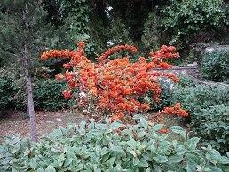 Marathos, Crete, Kreta