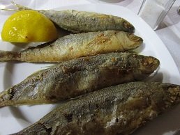 Apollon taverna - Tsoutsouros beach, Crete.