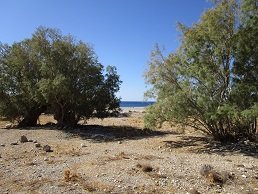 Livari beach, Kreta, Crete.