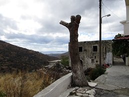 Platanos, Crete, Kreta