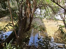 Selinari monastery, Crete, Kreta