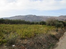 Lithines, Crete, Kreta