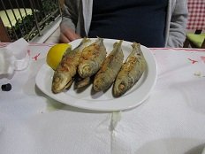 Apollon taverna - Tsoutsouros, Crete, Kreta