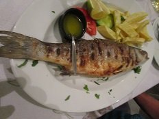 The Olive Tree / Elia Taverna - Makrigialos, Kreta, Crete.