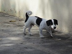 Dermatos beach, Kreta, Crete.