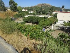 Kato Kastelliana, Crete, Kreta