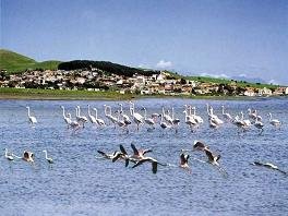 Limnos, Lemnos, Griekenland, Greece