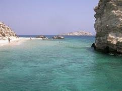 Aspronissi, Aspronissia