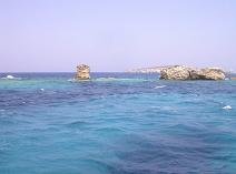 Aspronissi, Aspronissia