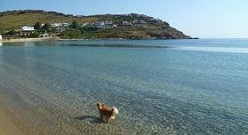 Panormos Beach Mykonos